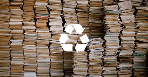 how to dispose of books: should we always choose recycling?